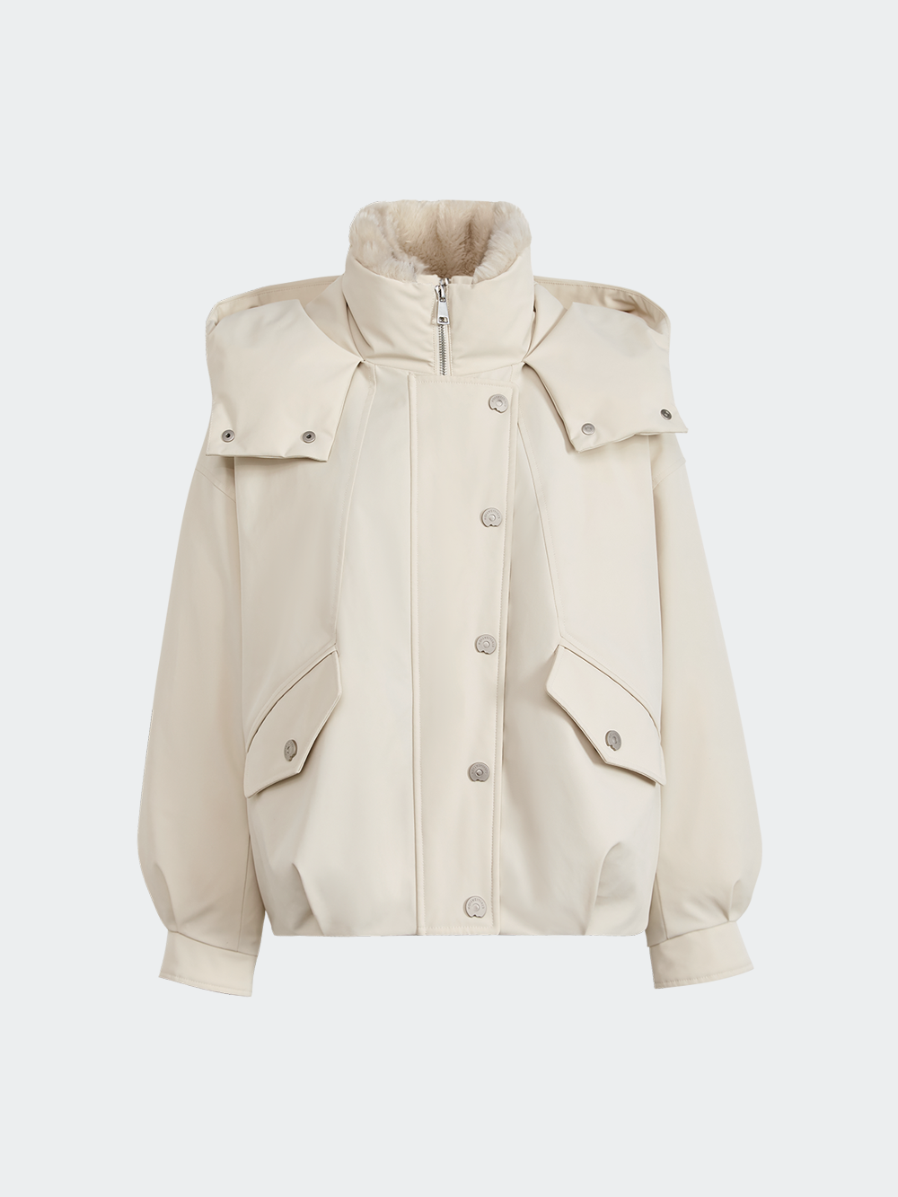 Hooded Stand Collar Down Jacket